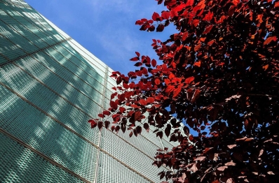 Энергетический парк. Покрытие TECU Patina